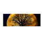 Wallity Lienzo Decorativo Iluminado con LEDs 30x90 cm Multicolor